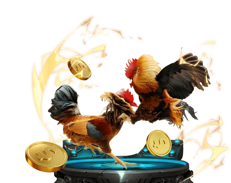 Cập nhật và cải tiến nền tảng vip789